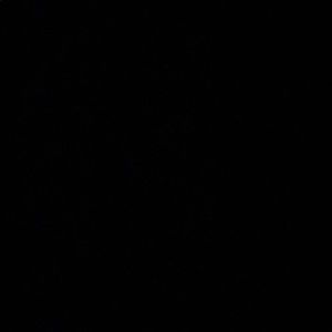 Meet your Posher, Felipe